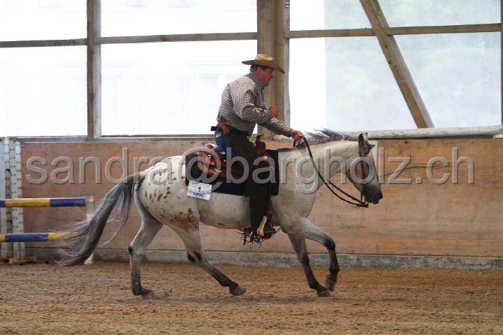 Reining_036.jpg