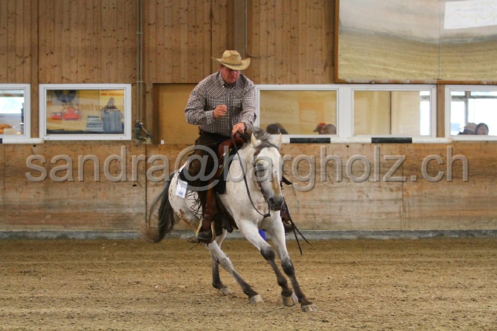 Reining_038.jpg