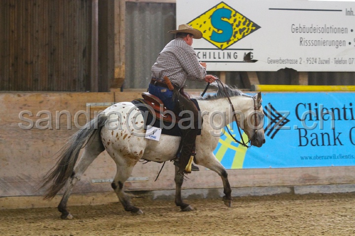 Reining_039.jpg