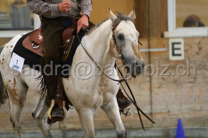 Reining_040.jpg