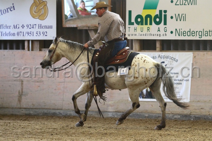 Reining_044.jpg