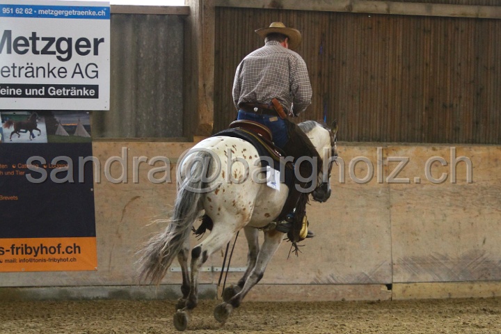 Reining_045.jpg