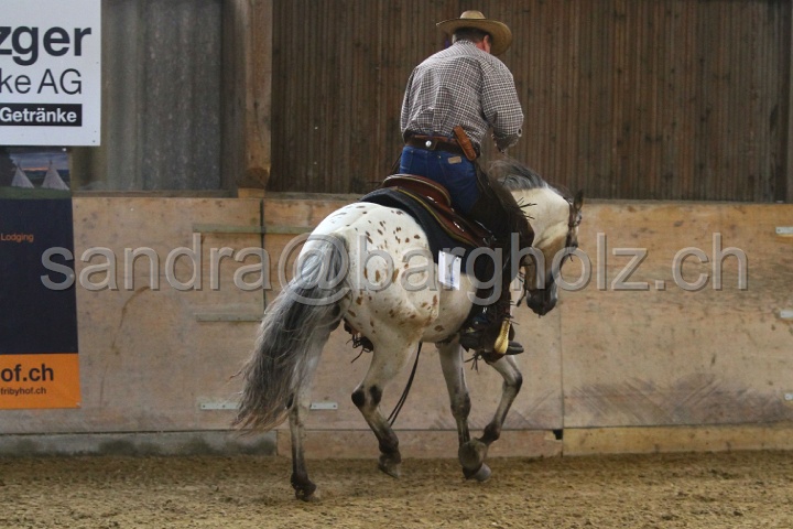 Reining_046.jpg