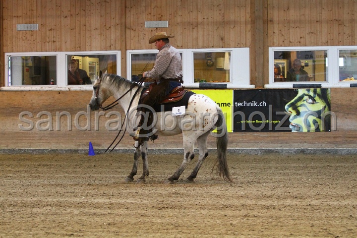 Reining_048.jpg