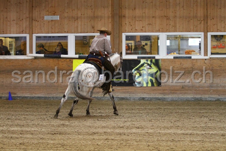 Reining_049.jpg