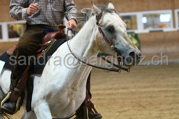 Reining_050.jpg