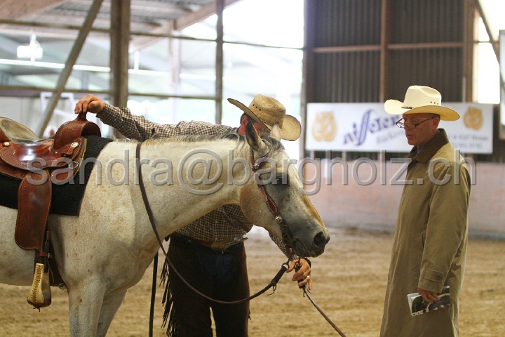 Reining_051.jpg