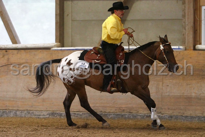 Reining_100.jpg