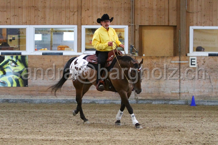 Reining_101.jpg
