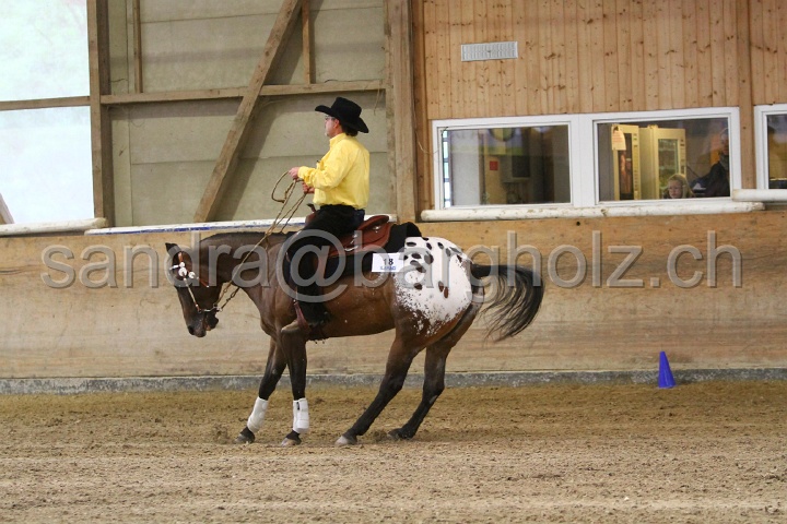 Reining_108.jpg