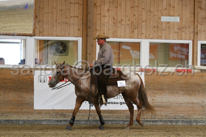 Reining_111.jpg
