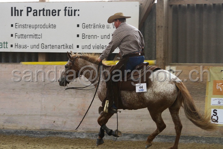Reining_112.jpg