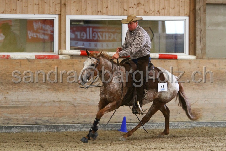 Reining_116.jpg