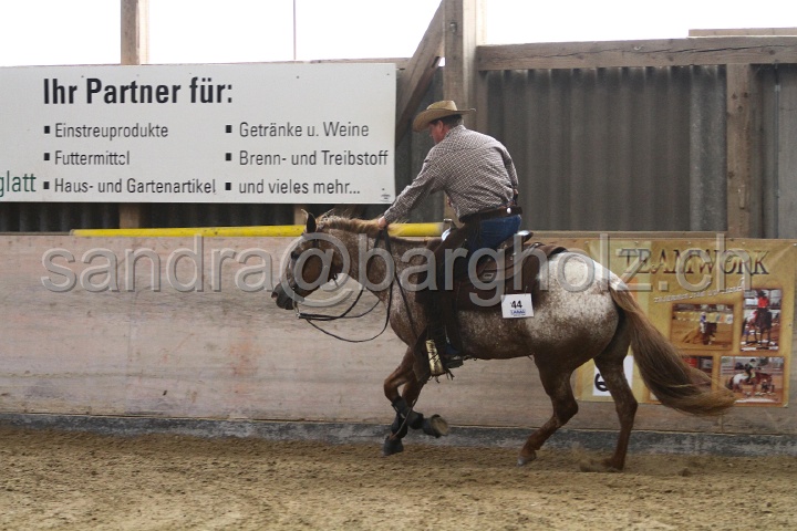 Reining_118.jpg