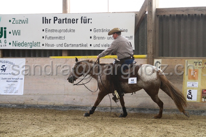 Reining_119.jpg