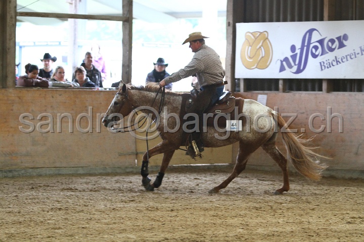 Reining_120.jpg