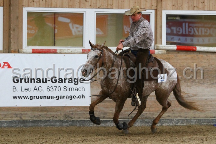 Reining_121.jpg