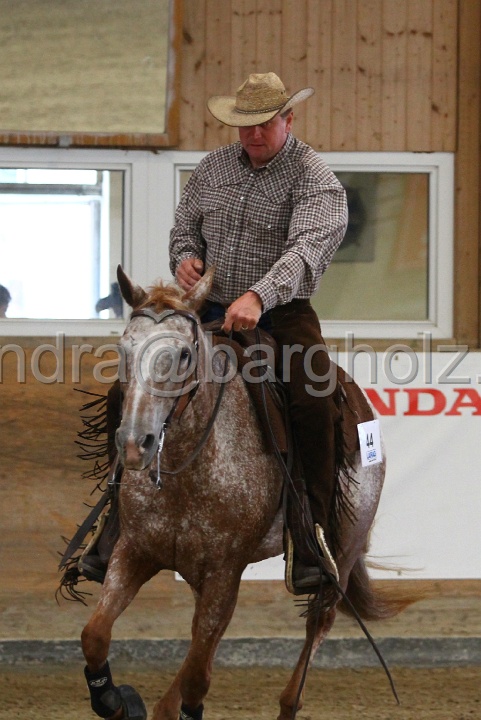 Reining_122.jpg