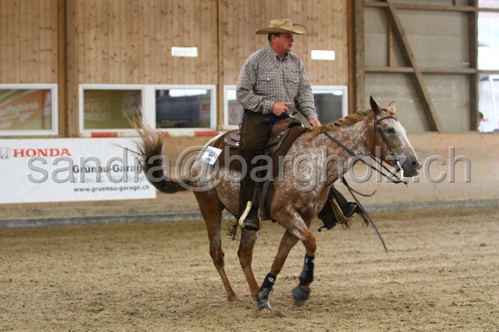 Reining_123.jpg