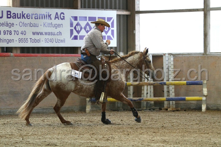Reining_128.jpg