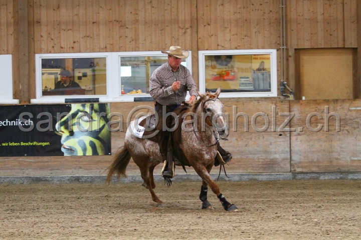 Reining_129.jpg