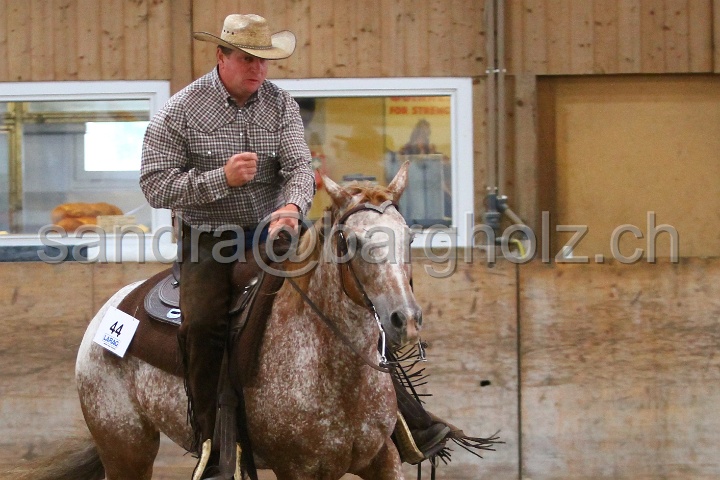 Reining_130.jpg