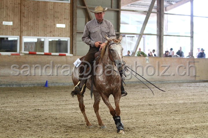 Reining_132.jpg