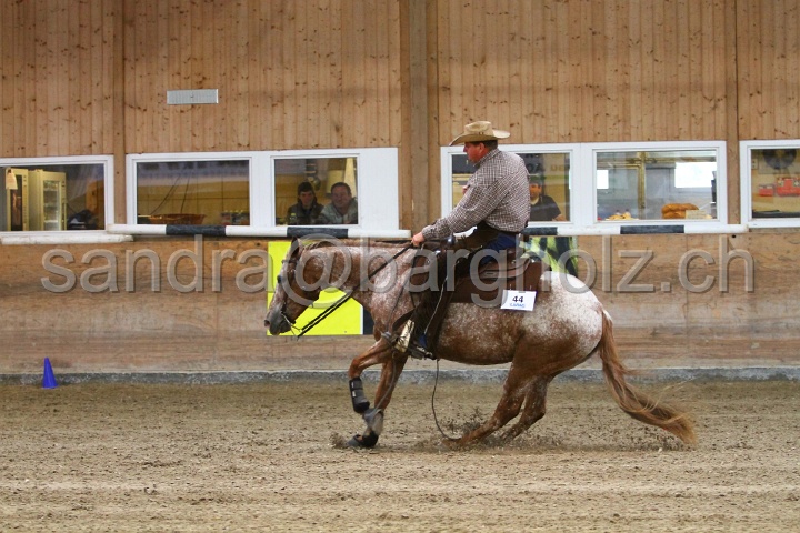 Reining_138.jpg