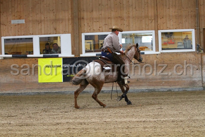 Reining_139.jpg