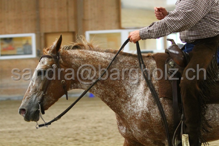 Reining_141.jpg
