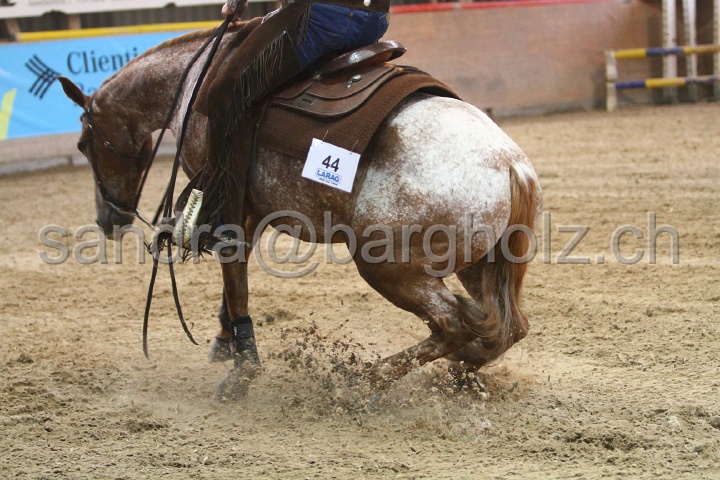 Reining_142.jpg