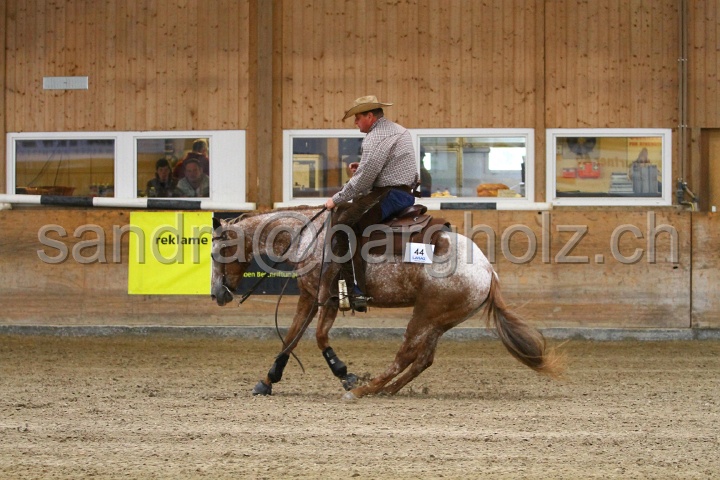 Reining_143.jpg