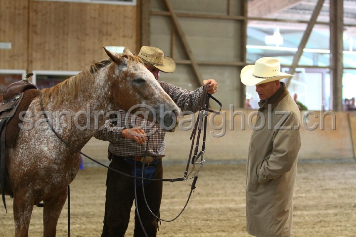 Reining_144.jpg