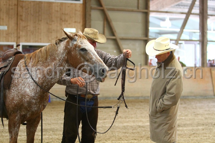 Reining_145.jpg