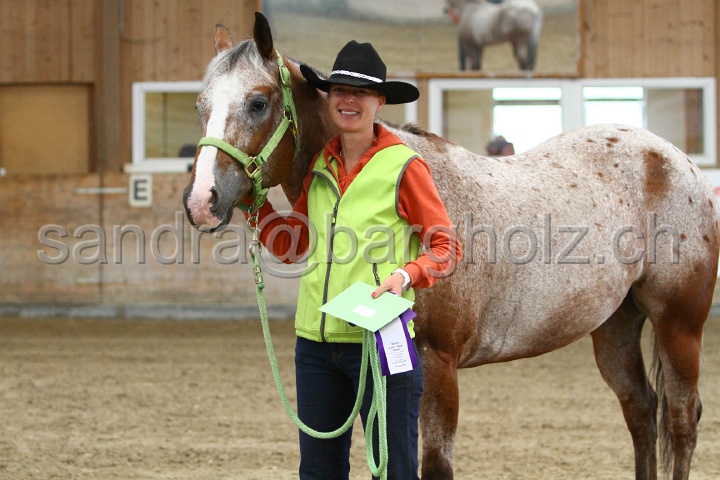 Reining_164.jpg