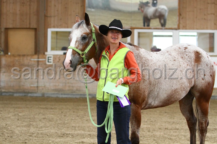 Reining_165.jpg