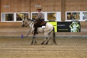 Reining_048