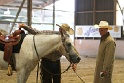 Reining_051