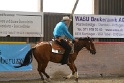 Reining_077