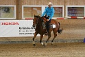 Reining_082
