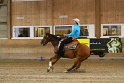 Reining_086