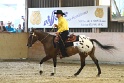 Reining_089