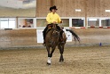 Reining_091