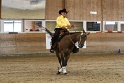 Reining_093