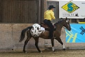 Reining_097