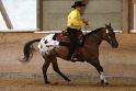 Reining_100