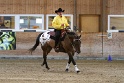 Reining_101