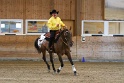 Reining_102