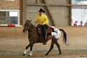 Reining_105