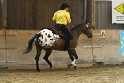 Reining_106